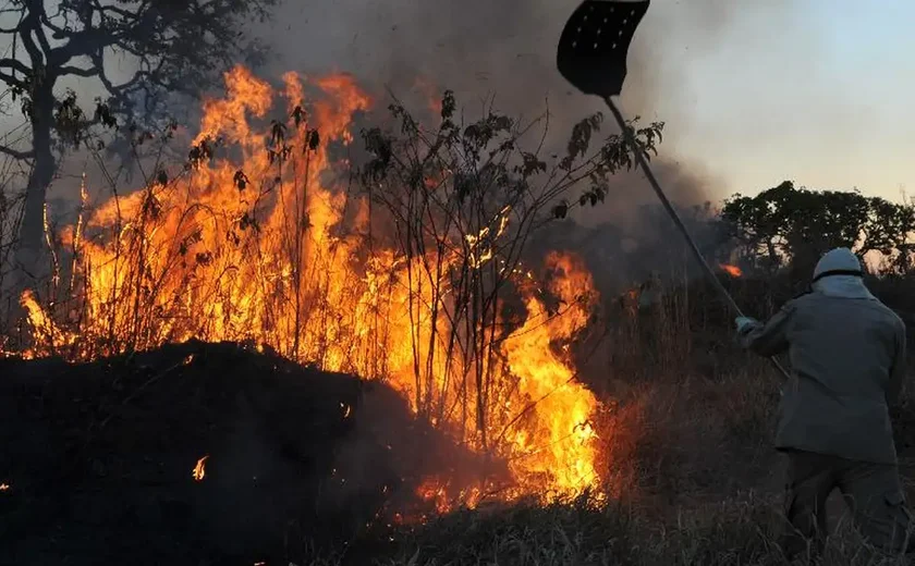 Incêndio florestal forma 'corredor de fogo' em rodovia no Pantanal; vídeo