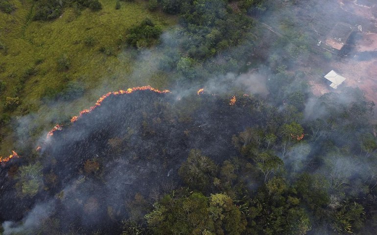 Incêndios devastadores: Brasil lidera ranking de perda de florestas em relatório global de 2024