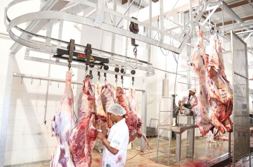 Novo matadouro de Campo Alegre garante qualidade do abate de animais