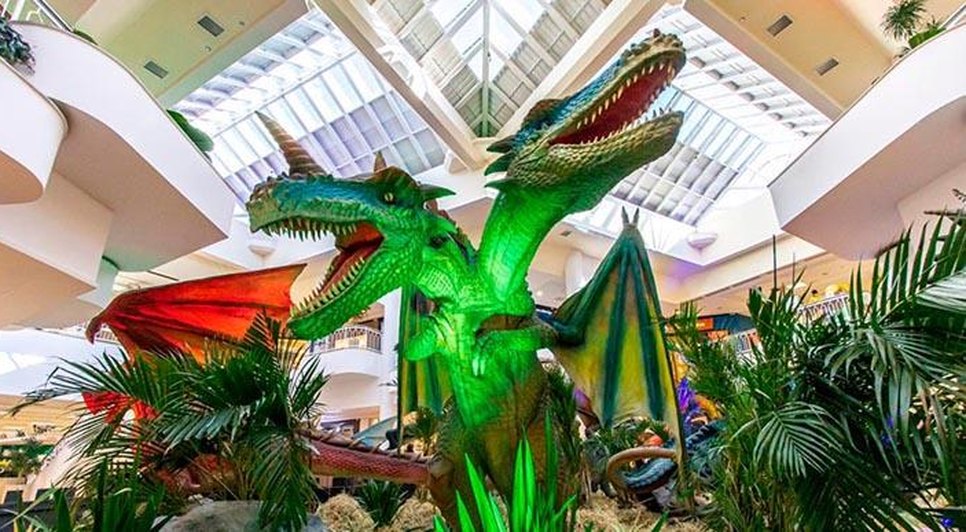 dragão