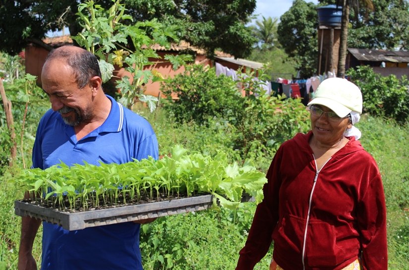 Projeto “Resgatando Horta de Quintal” beneficia 28 famílias quilombolas
