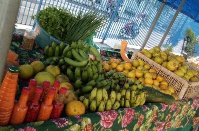 Agricultura promove 16ª edição da Feira Orgânica em Maceió