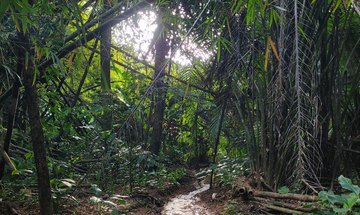 Parque Municipal de Maceió