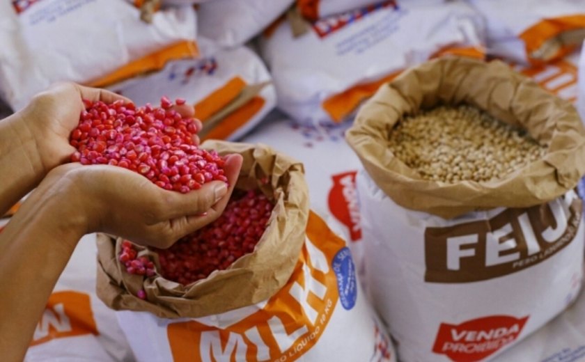 Agricultor familiar de Penedo pode solicitar semente até o próximo dia 14