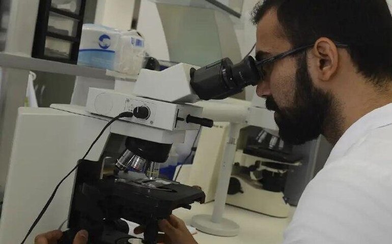 Produção científica brasileira volta a crescer em 2024