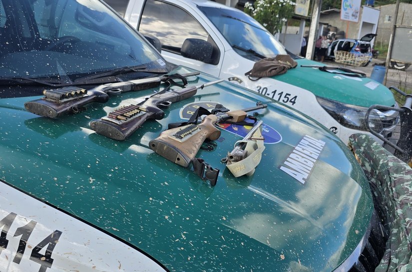 PM apreende espingardas e resgata pássaros silvestres em operação contra crimes ambientais em Flexeiras