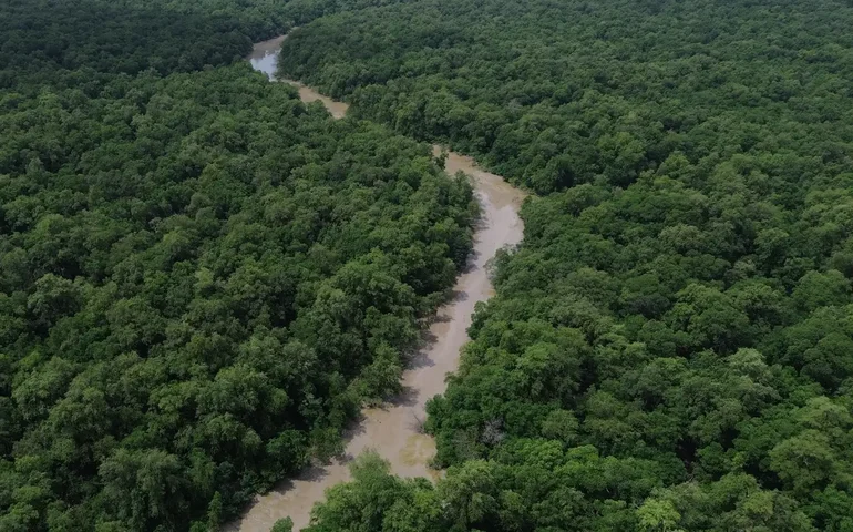 Assassinatos no campo dobram em 2025 e atingem maior parte da Amazônia Legal