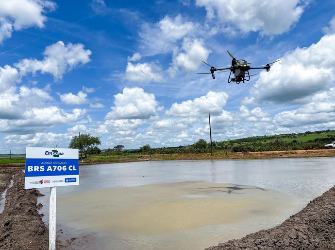 Secretaria de Agricultura realiza dia de campo do programa Alagoas Mais Arroz