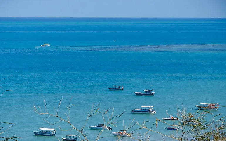 Emancipação política: Maragogi e Santana do Ipanema apresentam crescimento nos números de empresas com registro ativo