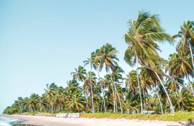Atrativos turísticos de Alagoas são apresentados na BTL em Portugal