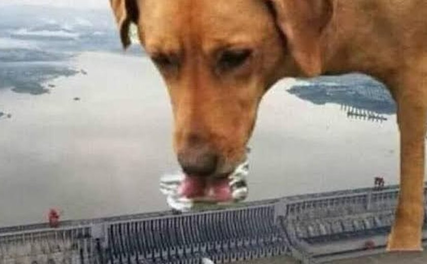 Internautas reagem a apagão nacional nas redes sociais