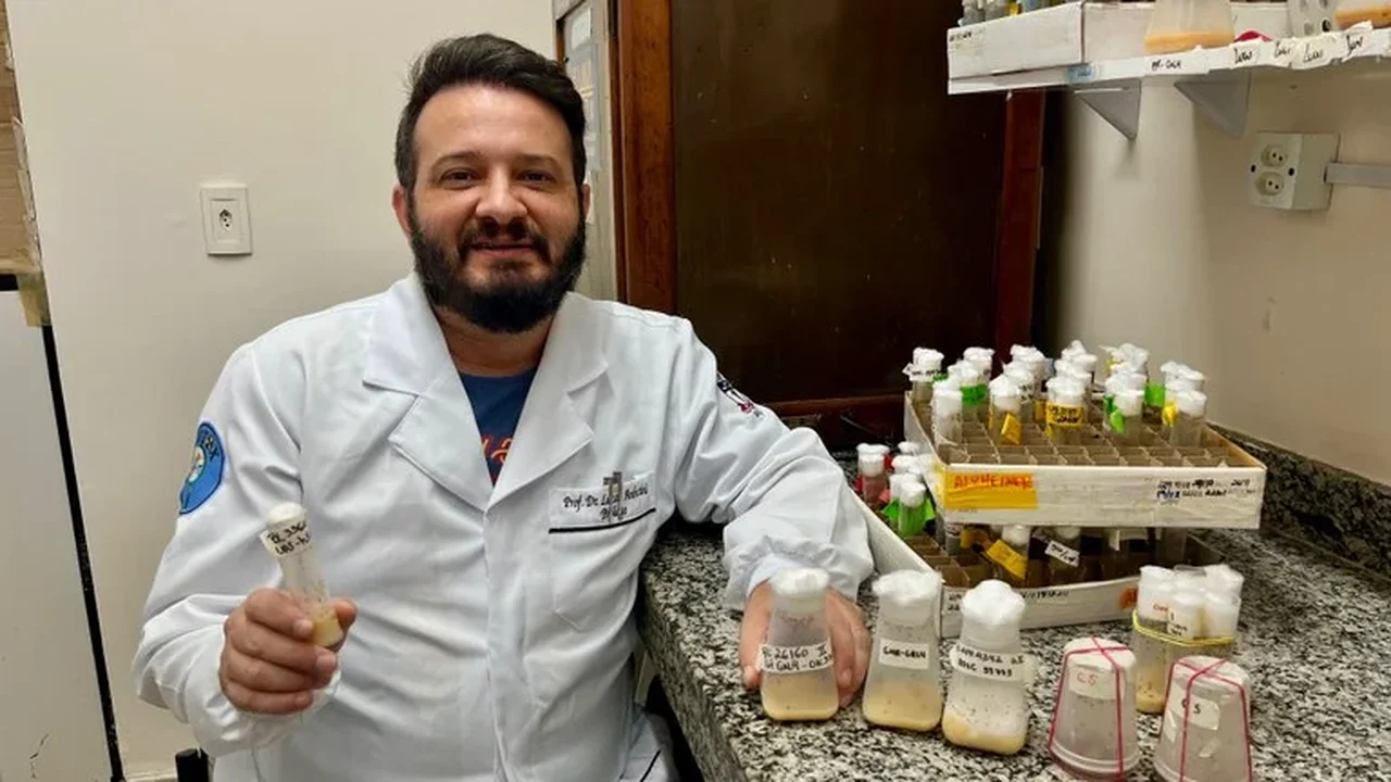 Laboratório da Ufal conquista marca histórica com licenciamento pela CTNBio