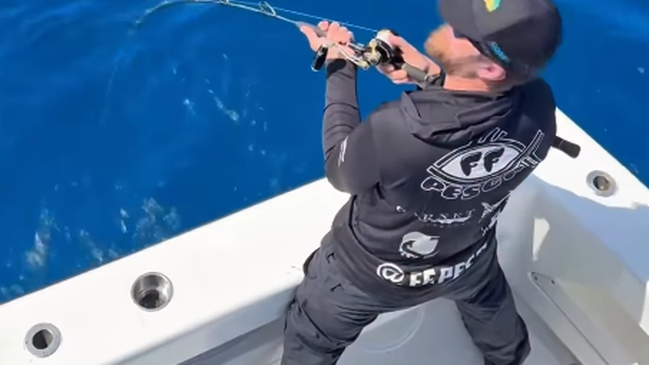 Após três horas de pesca, Zé Neto detalha captura de marlim-azul de 300 quilos: 'Que batalha'