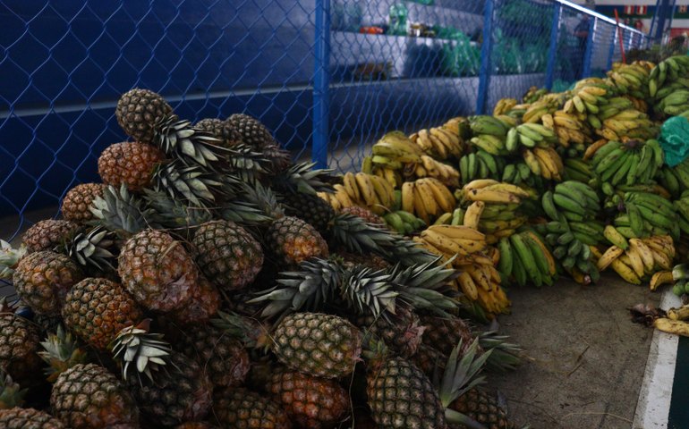 Prefeitura de Maceió garante alimentação saudável para estudantes das escolas municipais