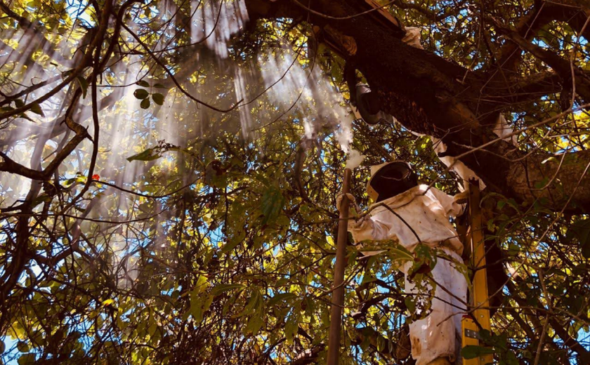 IMA anuncia vencedores do 5º Concurso de Fotografia Ambiental