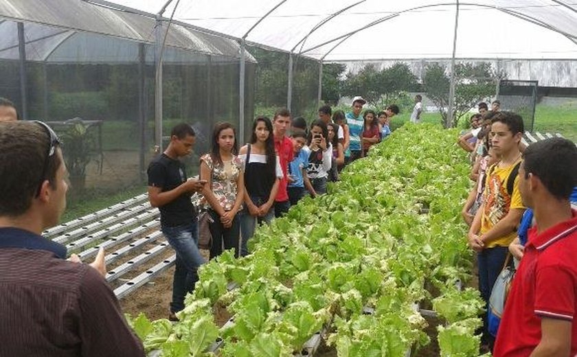 Alunos de Lagoa da Canoa conhecem técnica para cultivo de hortaliças