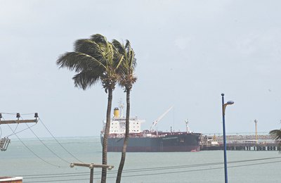 Vento Nordeste tem velocidade entre 20 a 30 km em Alagoas 