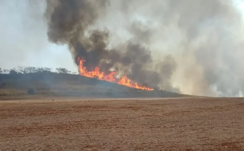 Brigadista morre durante incêndio em canavial