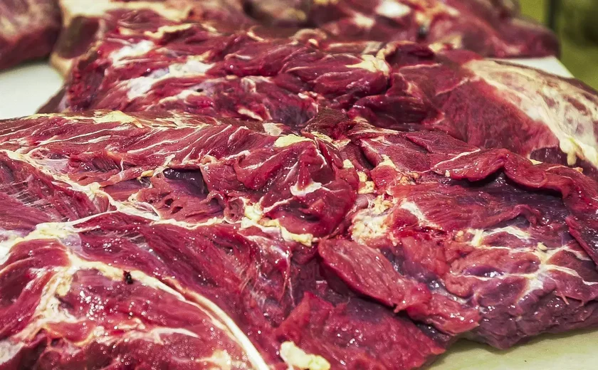 A carne possível: fazendeiro mostra como pecuária pode regenerar o Cerrado  - 18/03/2021 - UOL ECOA