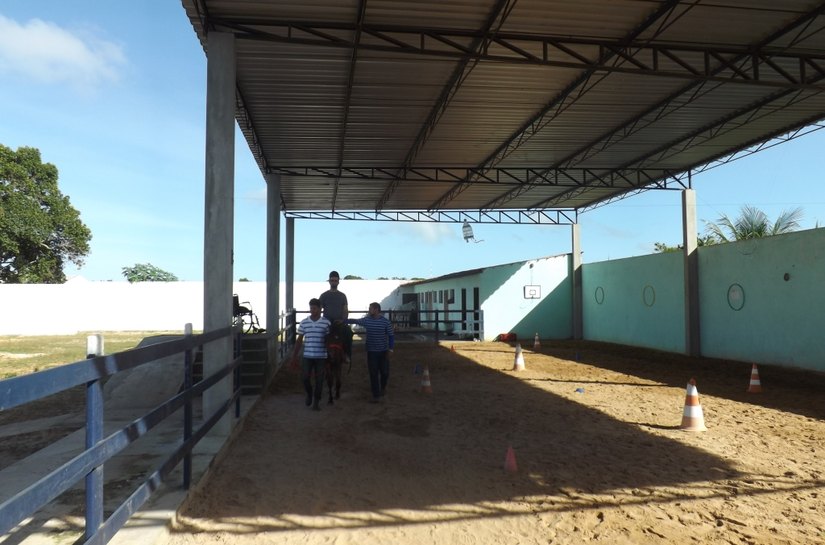 Reabilitação e Equoterapia Santa Clara é referência do SUS em AL