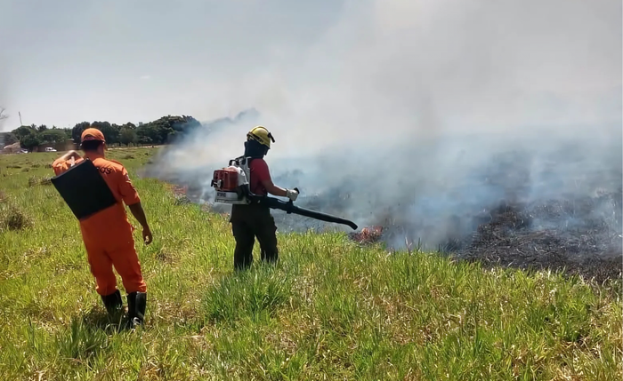 Bombeiros combatendo incêndio em vegetação