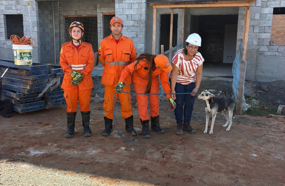 Bombeiros resgatam cachorro / Foto: Foto: CBMSE