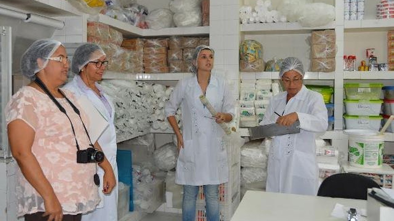 Agentes de vigilância em saúde do trabalhador participam de ação sobre inspeção sanitária