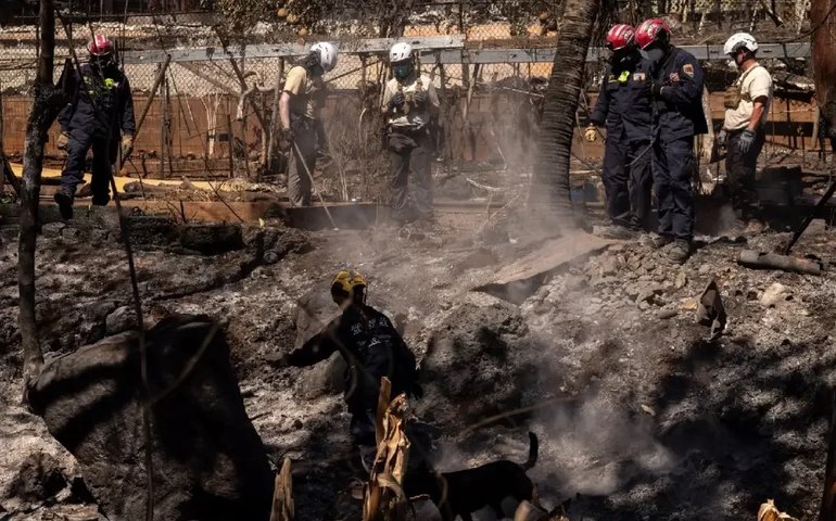 Havaí: condado de Maui processa fornecedora de energia por incêndio que matou 115