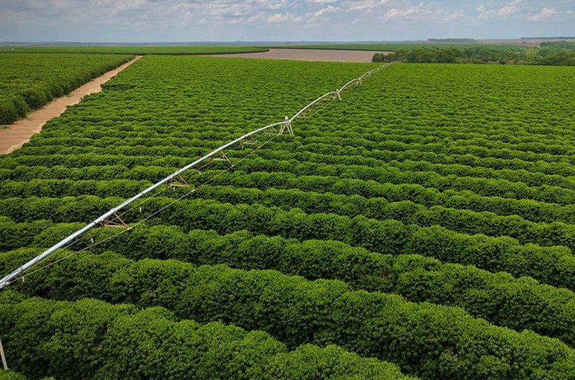 Sistema nacional aprimora manejo da irrigação e uso eficiente da água
