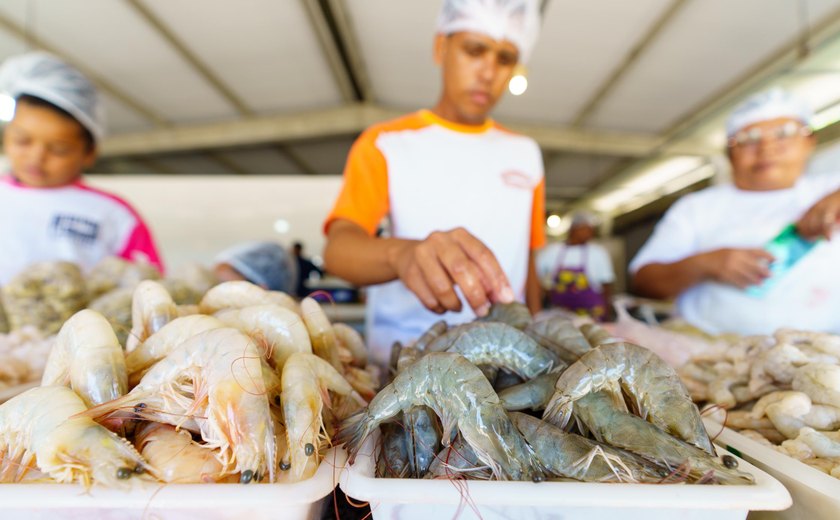 Fapeal e Ministério da Pesca lançam edital para o ensino médio