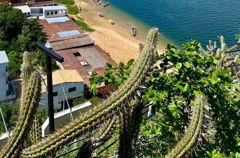 Pão de Açúcar inicia Semana do Meio Ambiente com ações em defesa do Rio São Francisco e foco em resiliência urbana