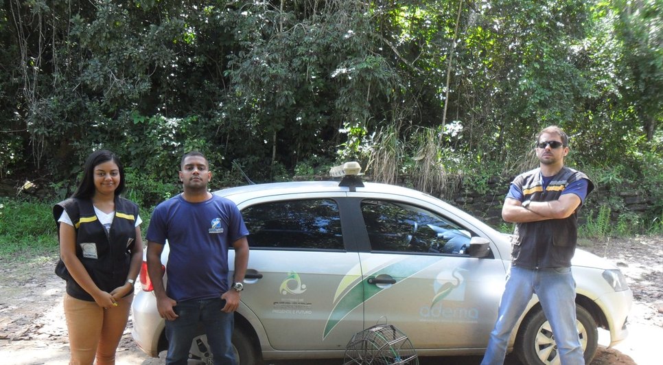Equipe da Adema resgata pássaros / Foto: Adema