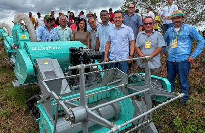 Produção de Arroz tem perspectivas positivas no Baixo São Francisco alagoano