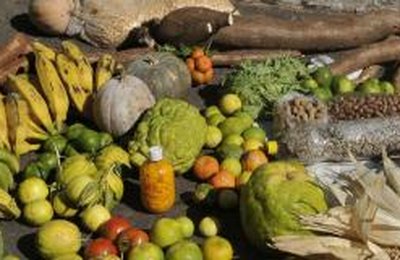 Governo muda regras para empréstimo a agricultores familiares