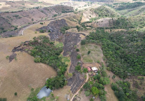 Número de queimadas em Alagoas cai 17% em 2025, mas IMA alerta para riscos no período seco