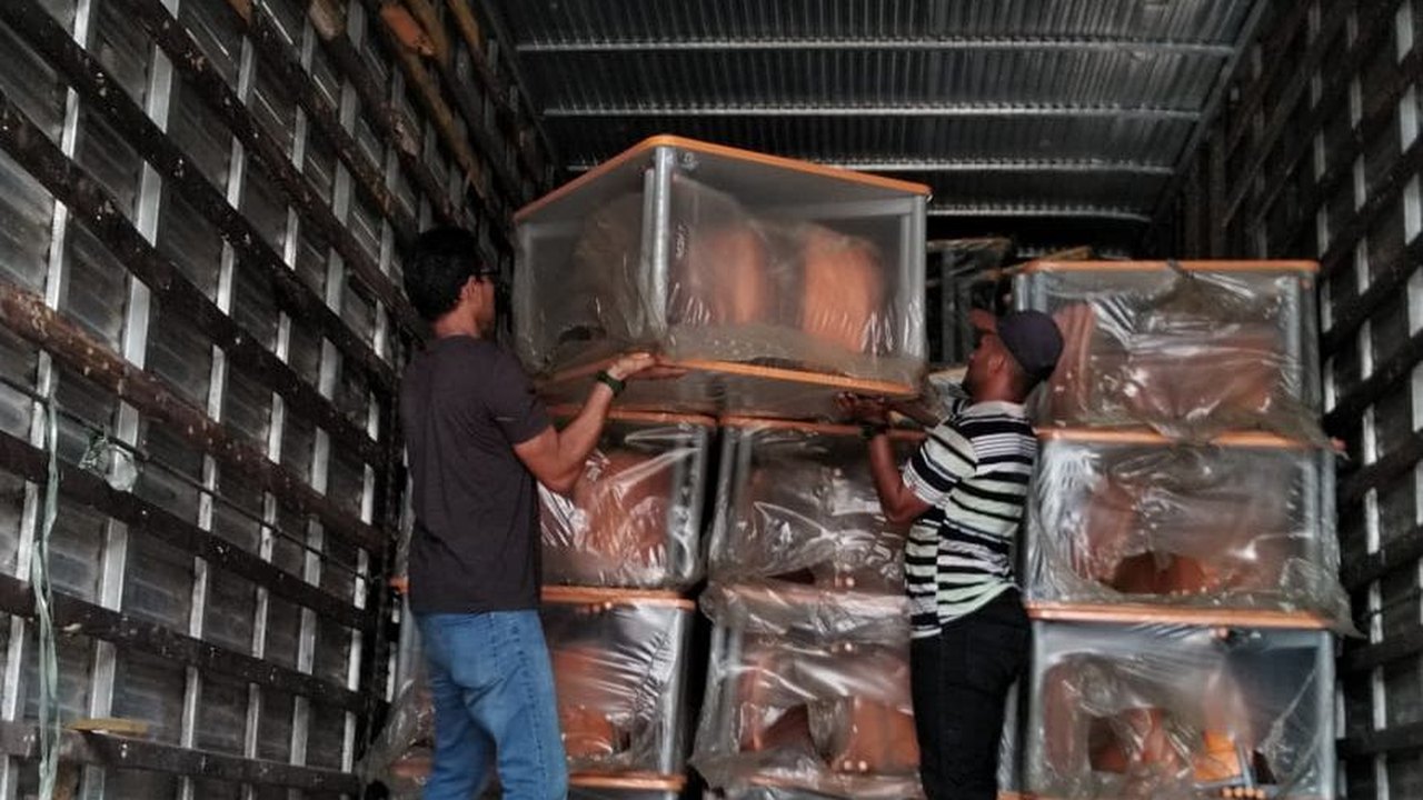 Com recursos próprios, prefeitura de Branquinha adquire novas carteiras para salas de aula