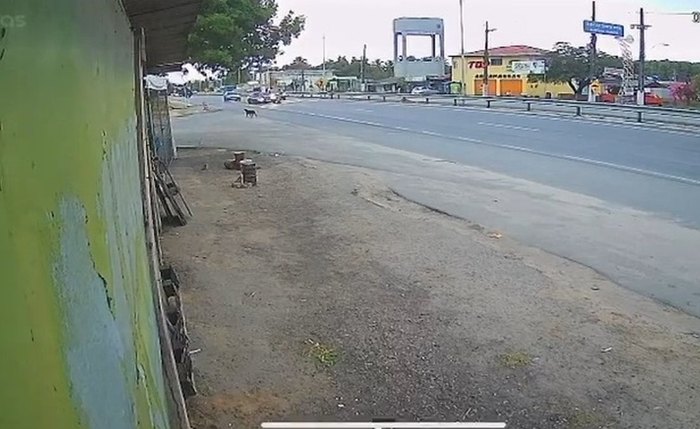 Em alta velocidade, motorista atropela duas pessoas na faixa de pedestre, em Marechal