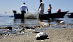 1091883-rj_tanrgo_abr_21092017_82t2057.jpg / Foto: Foto: Tânia Rêgo (Agência Brasil)