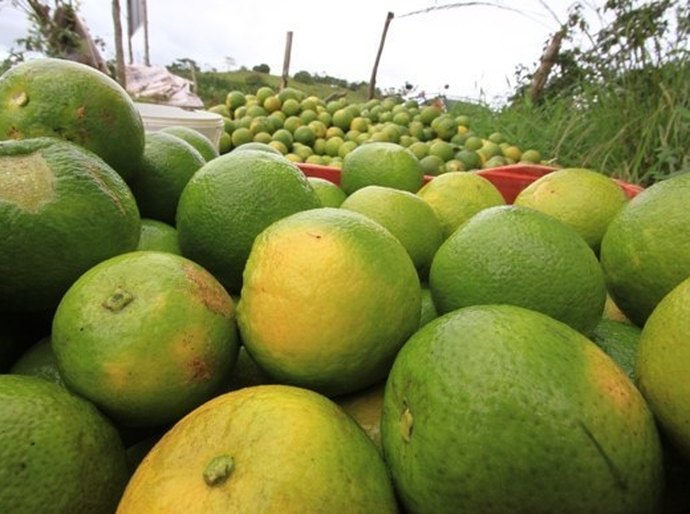 Seminário discute desafios e perspectivas para Arranjos Produtivos em Alagoas