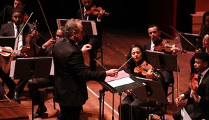 Orquestra / Foto: Foto: Tamara Mannis