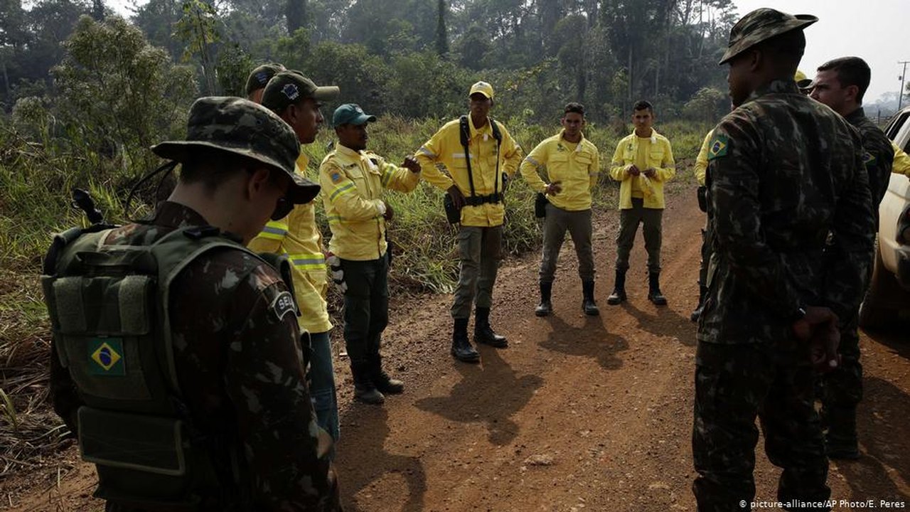 Força Nacional é acionada para combater desmatamento no Pará