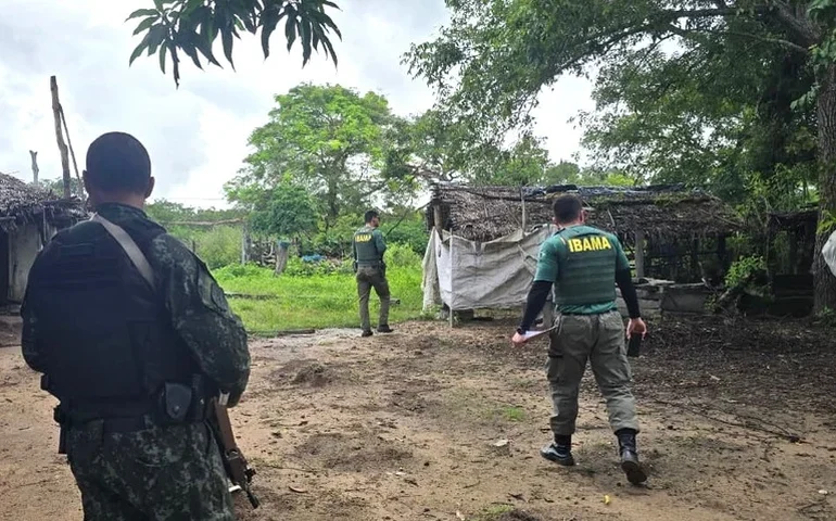Operação do Ibama combate criação irregular de gado na Terra Indígena Parque do Araguaia