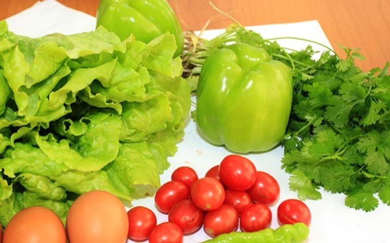 Horticultores conhecem ferramentas para melhorar produção de hortaliças