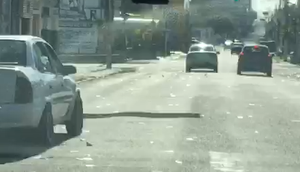 Motorista é flagrado jogando santinhos nas ruas durante votação em Aracaju