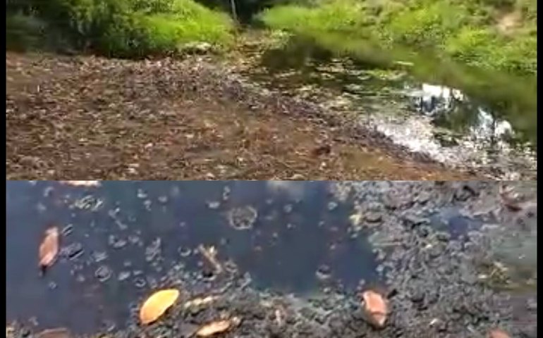 Fundação se sensibiliza com a população de Viçosa e ecoa grito de socorro ao rio Caçamba