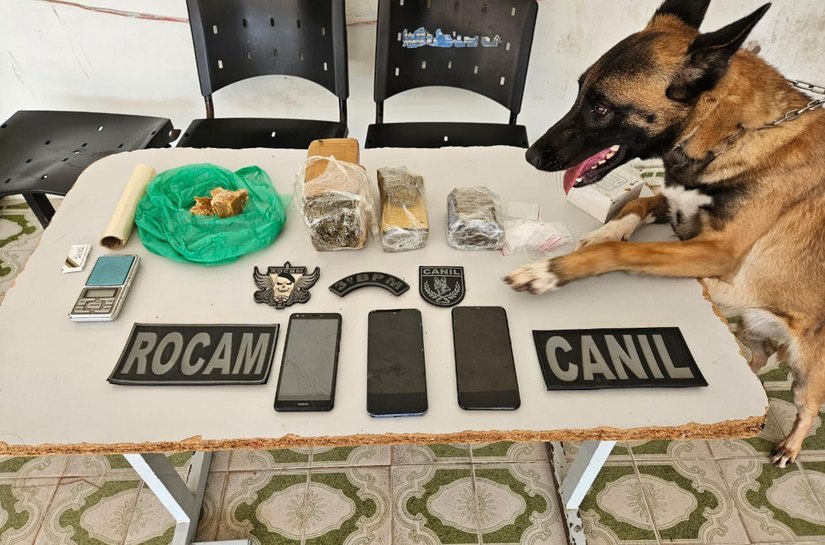 PM flagra tráfico de drogas durante ações em Maragogi e Arapiraca