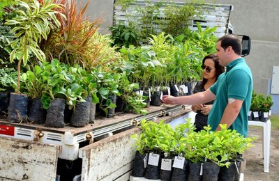 Planta Maceió doará três mil mudas de árvores na Bienal