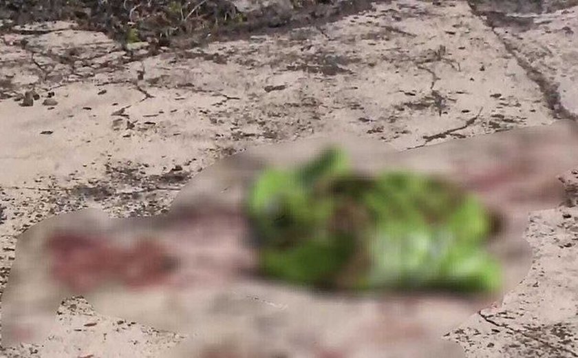 Mulher é encontrada com sinais de violência após tentativa de abuso sexual em terreno abandonado no centro de Maceió