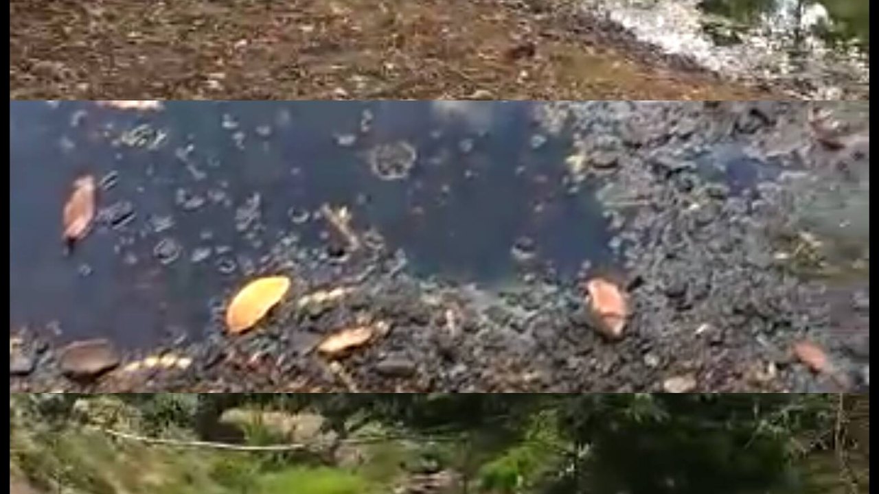 Fundação se sensibiliza com a população de Viçosa e ecoa grito de socorro ao rio Caçamba