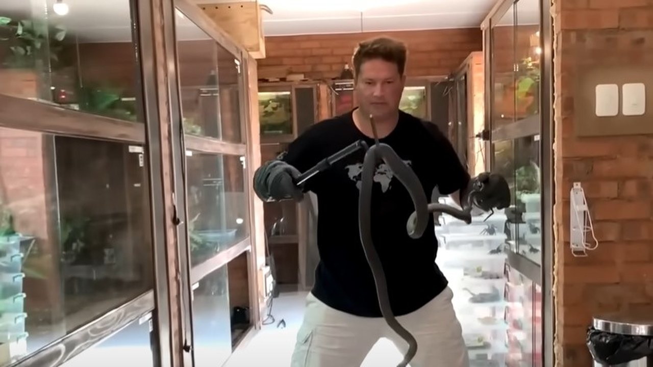 Youtuber famoso por trabalho com animais perigosos morre após ser picado por cobra venenosa